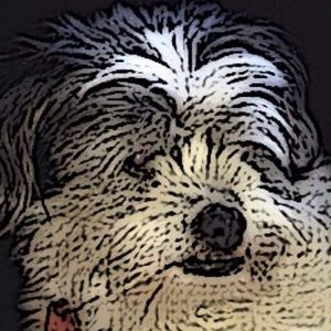 Meet your Posher, June